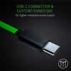 Razer Hammerhead USB C In Ear Headset