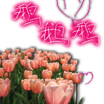 Warm372 说说唱唱唐诗 - 鹅鹅鹅 2CD